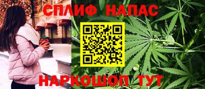 спайс Можга