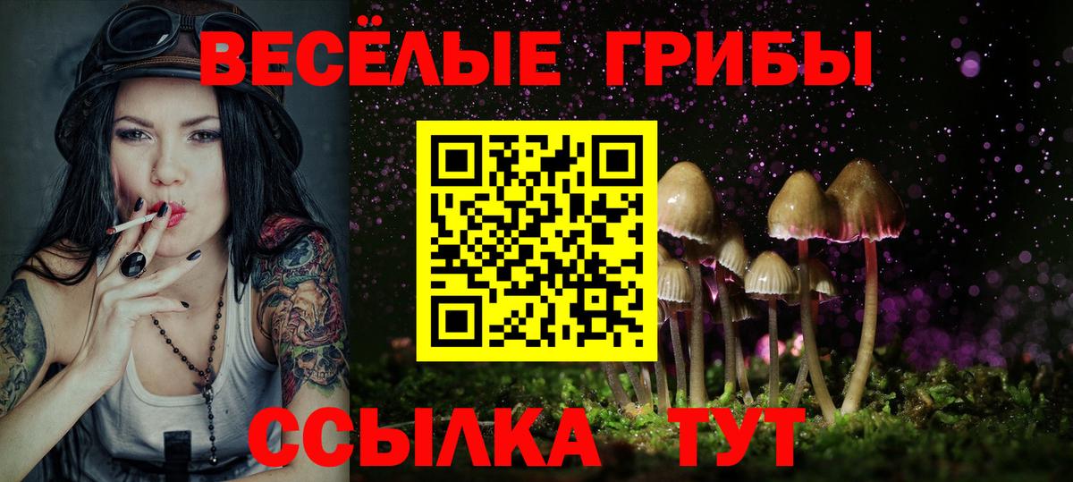 Галлюциногенные грибы Psilocybe Усть-Илимск